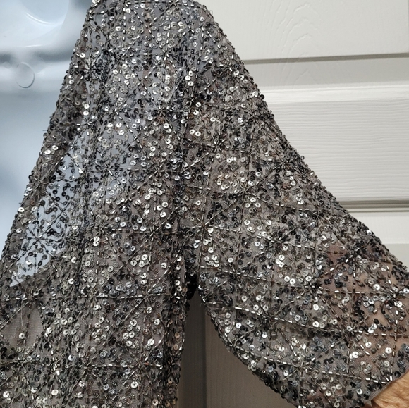 Adrianna Papell Fitted Sequin Mid-length Dress - Picture 9 of 14